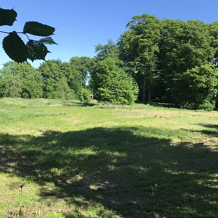Appartement - Alte Schmiede *